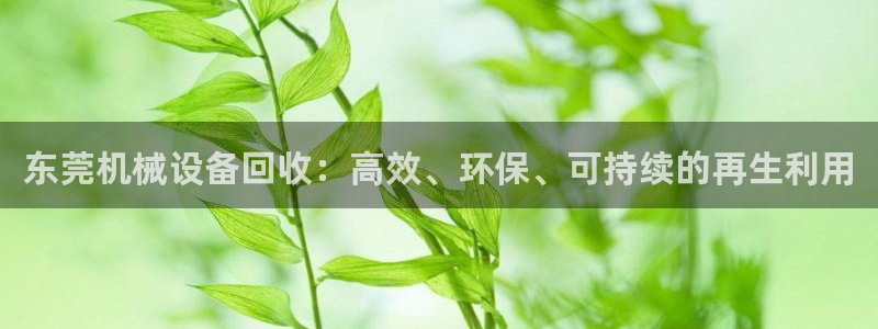 J9九游会老哥