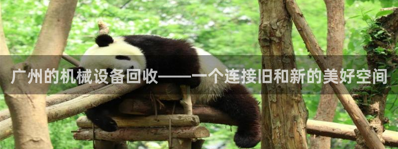 九游会上不去了