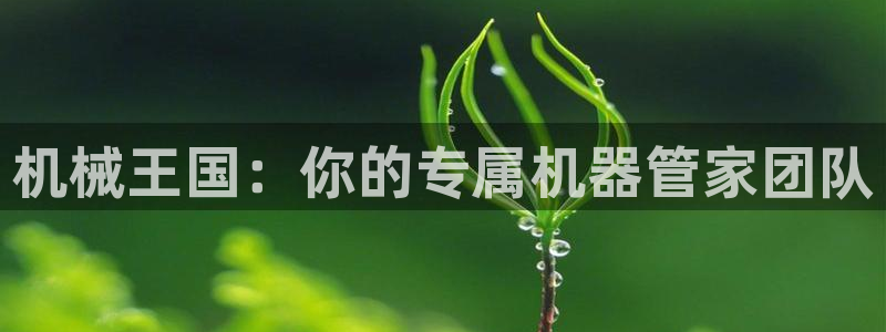 j9九游会备用网址：