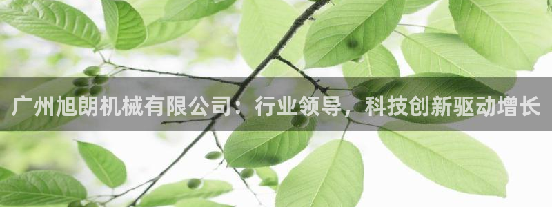 九游会app下载版官网正版安卓