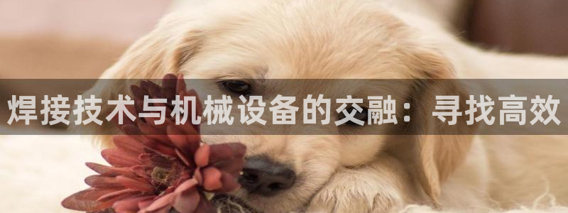 九游会AG登录入口