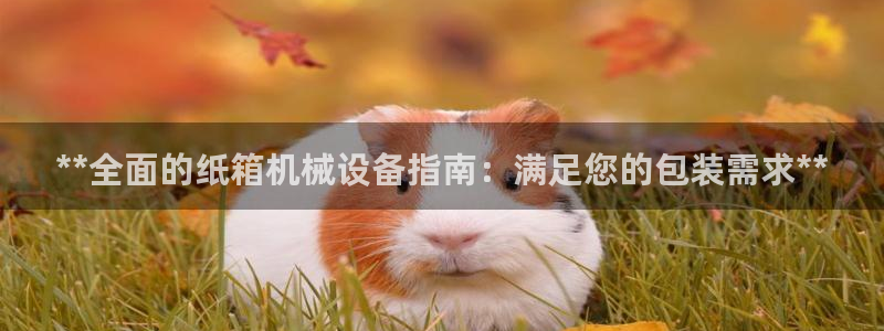 j9官网登录入口