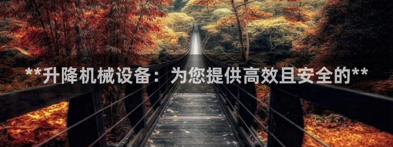 ag怎么变成九游会了