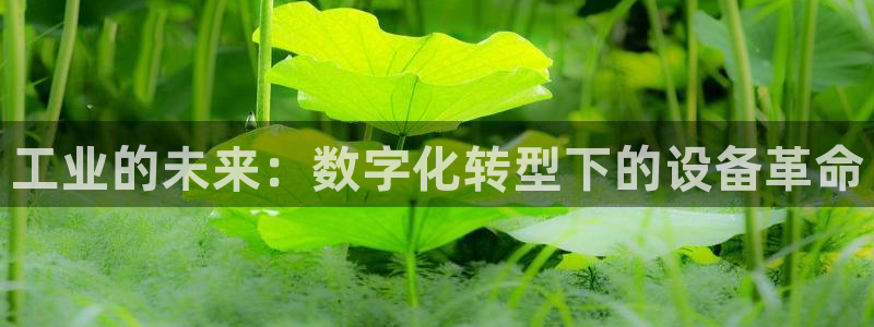 九游会线上平台吗