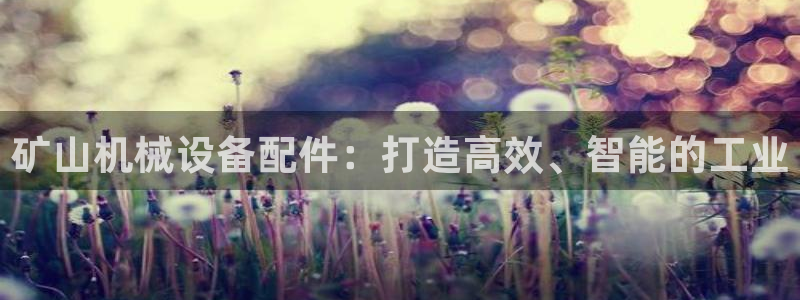 J9九游会九游国际版