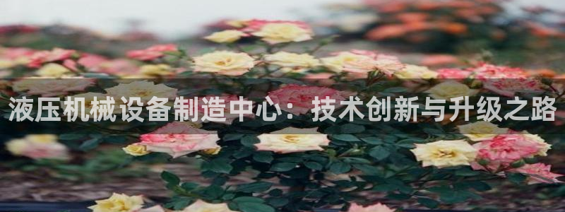 j9九游会跑路了吗