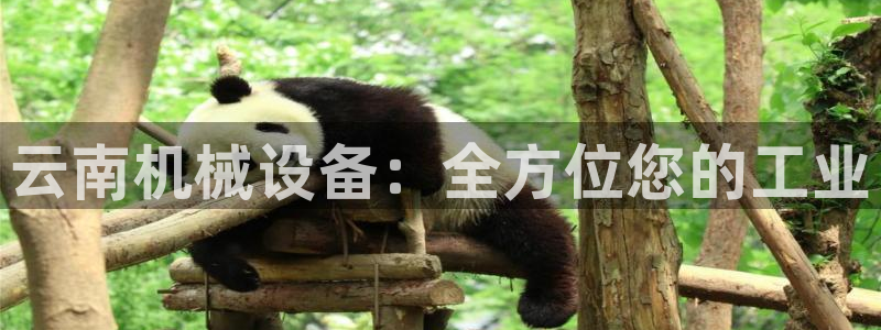 九游会在线官方